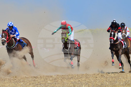 Завет - конни надбягвания