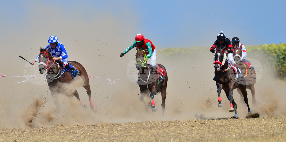 Завет - конни надбягвания