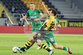 Пловдив - футбол - Ботев (Пловдив) - Лудогорец