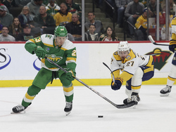 Predators Wild Hockey