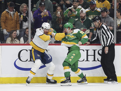 Predators Wild Hockey