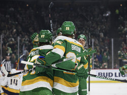 Predators Wild Hockey