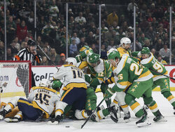 Predators Wild Hockey