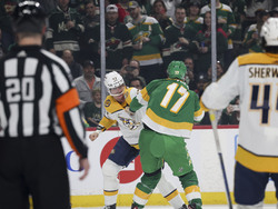 Predators Wild Hockey