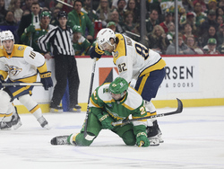 Predators Wild Hockey