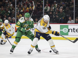 Predators Wild Hockey