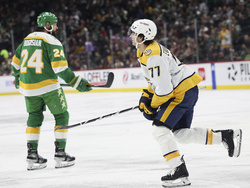 Predators Wild Hockey