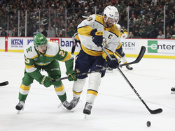Predators Wild Hockey