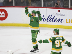 Predators Wild Hockey