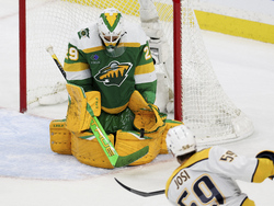 Predators Wild Hockey