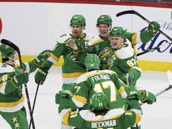 Predators Wild Hockey