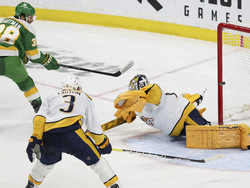 Predators Wild Hockey