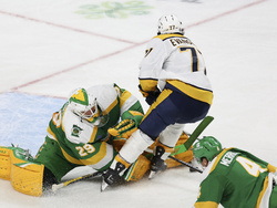 Predators Wild Hockey