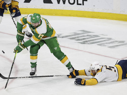 Predators Wild Hockey
