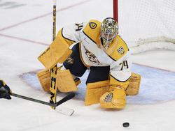 Predators Wild Hockey