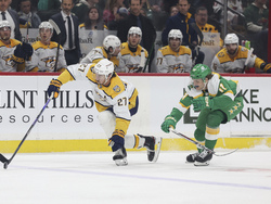 Predators Wild Hockey