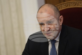 Румен Радев - ПП-ДБ - консултации