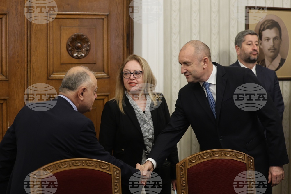 Румен Радев - ПП-ДБ - консултации