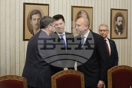 Румен Радев - ПП-ДБ - консултации