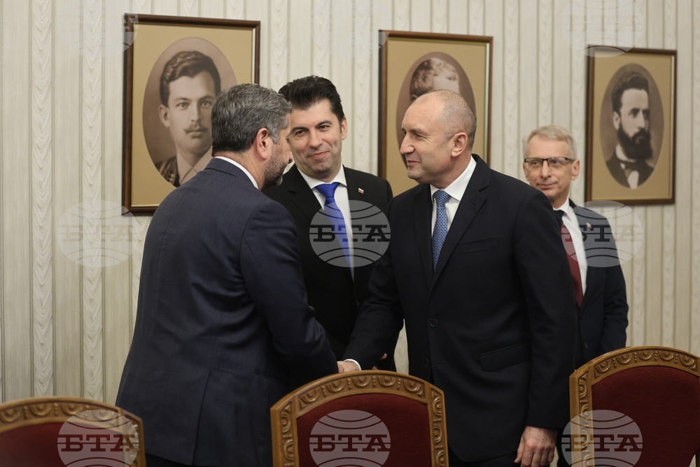 Румен Радев - ПП-ДБ - консултации