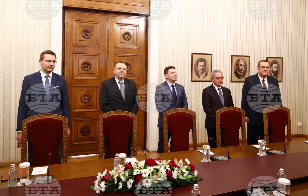 Румен Радев - ДПС - консултации