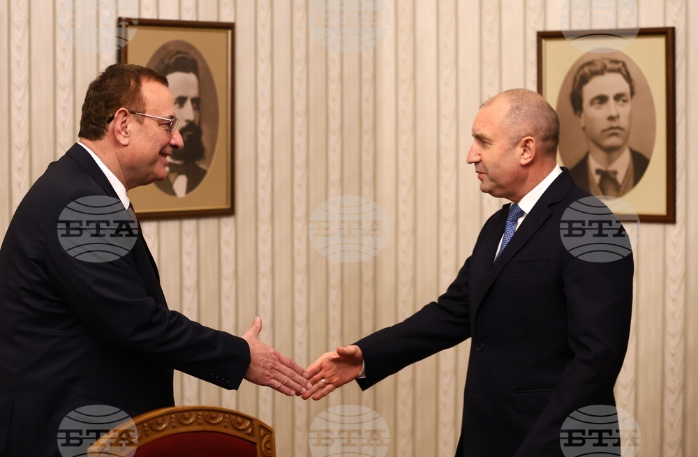 Румен Радев - ДПС - консултации