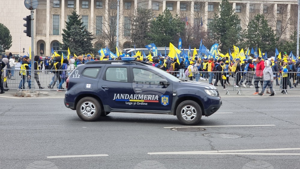 Румъния - здравни служители - протест