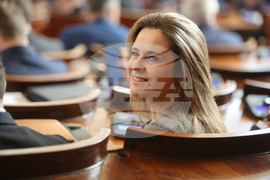 НС - заседание