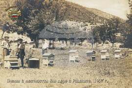 Земен - празник на пчеларите