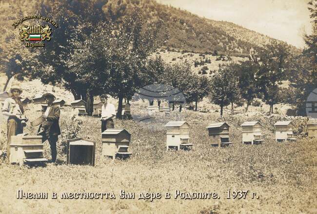 Земен - празник на пчеларите