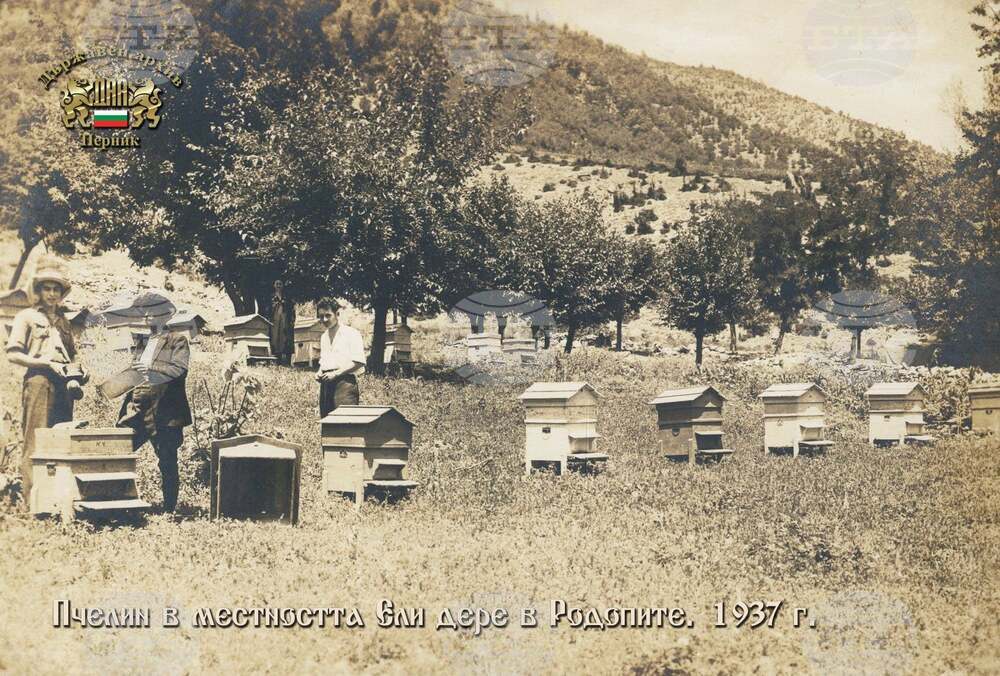 Земен - празник на пчеларите