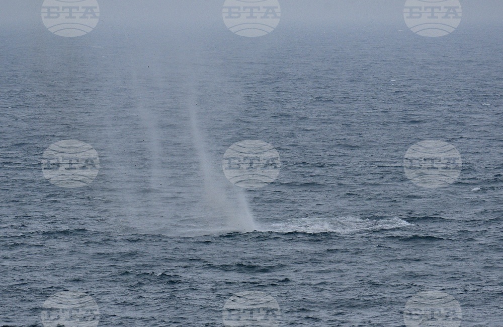 Варна - море - мина - обезвреждане