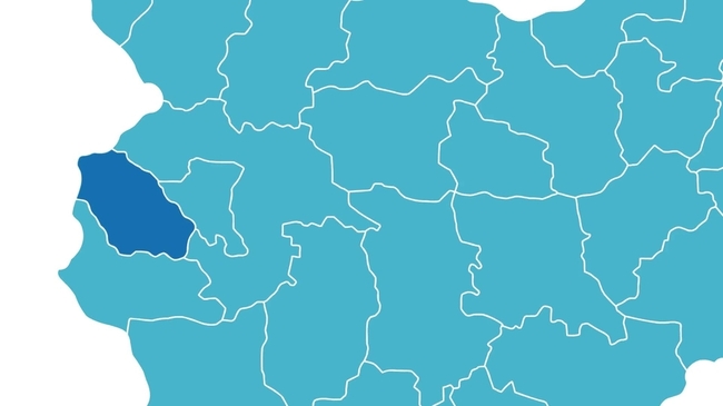 Инфографика Перник