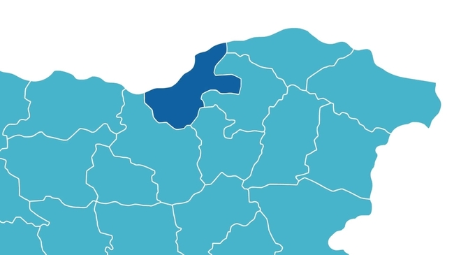 Инфографика Русе