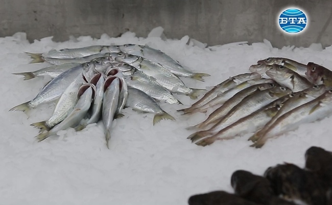 Започна изложението "Обичам българската риба"