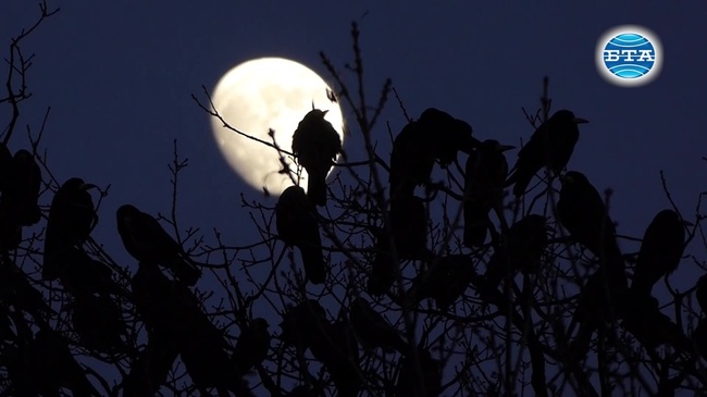 Студена зимна вечер в София