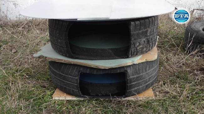 Доброволци направиха къщички за бездомните животни в Добрич