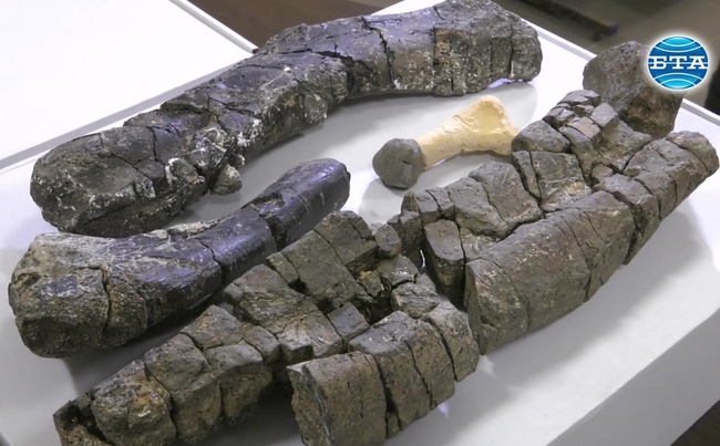 Динозаврите от Трън са от изключително значение за европейската палеонтология