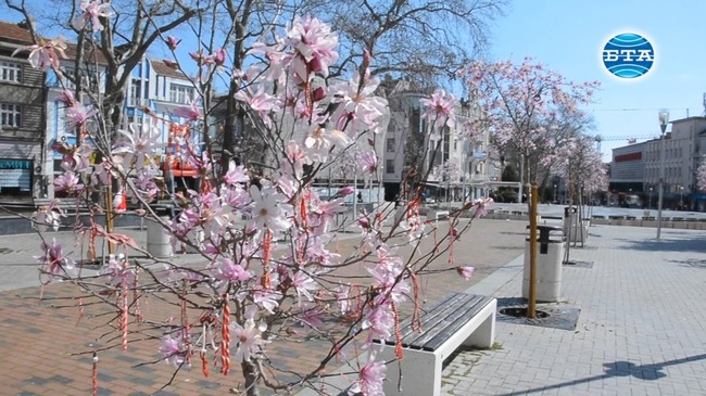 Повечето варненци спазват противоепидемичните мерки