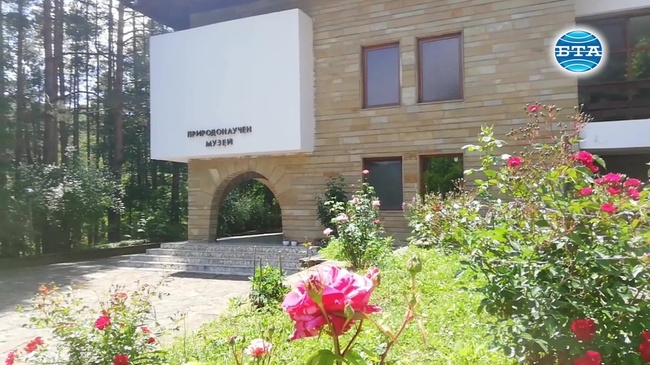 Дарение от 150 експоната ще обогати колекцията на Природонаучния музей в Котел