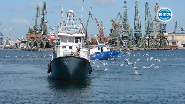 Риболовът в Черно море трябва да е устойчив и щадящ 