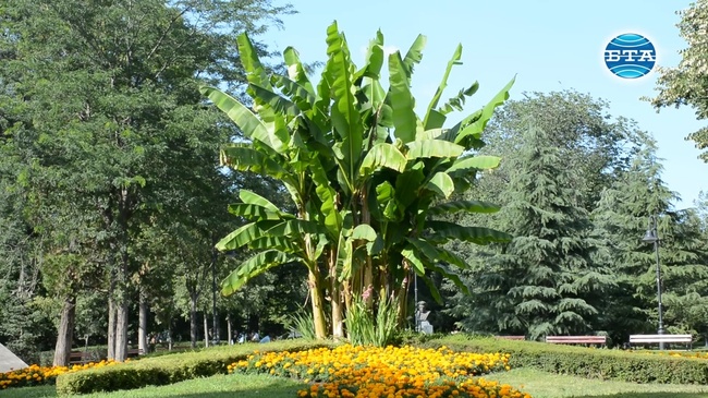 Кой е създателят на Морската градина в Бургас?