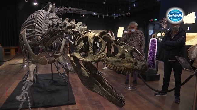 Рядък скелет на алозавър на търг в Париж