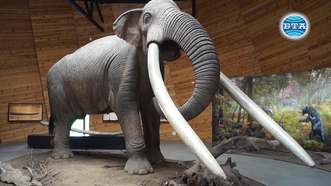 Мастодонтите от Дорково 