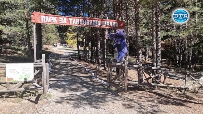 В Парка за танцуващи мечки вече се готвят за зимен сън