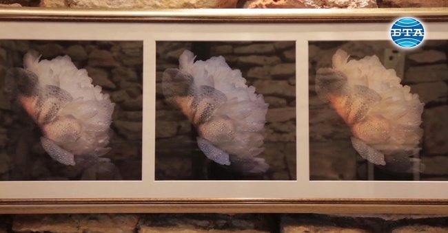 Фотоизложба "Тайната градина" показва в "Двореца" Рада Маринова