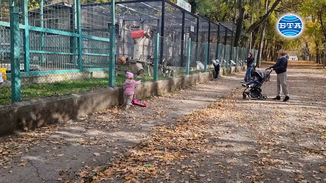 Зоокътът в Разград е готов за зимните месеци