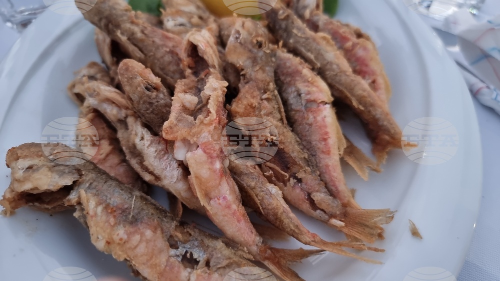 Гръцката кухня е втора след италианската като най-добра в света според класация на Taste Аtlas