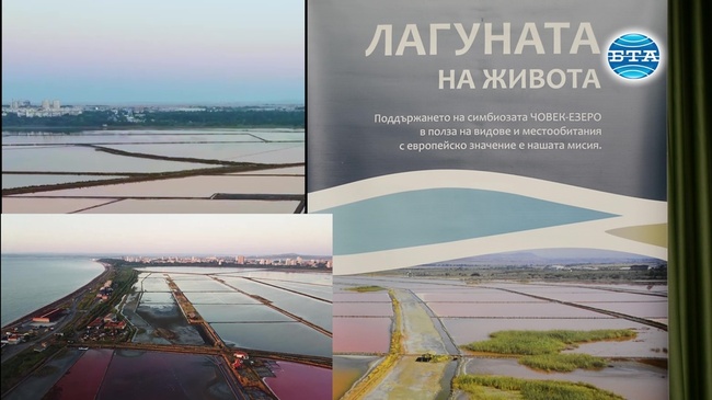 Европейски проекти помагат за съхранението на едно от Рамсарските места в България - Атанасовското езеро край Бургас