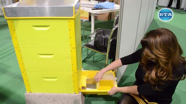 Нови кошери със защита срещу крадци на изложението "Пчеломания" в Добрич